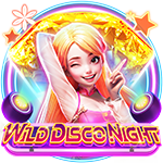 Wild Disco Night