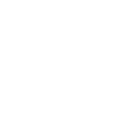 Vp